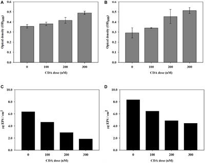 Dispersive biofilm from membrane bioreactor strains: effects of diffusible signal factor addition and characterization by dispersion index